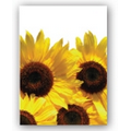 Sunflower Simply Floral Seed Packets - Imprinted